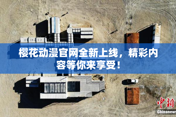 樱花动漫官网全新上线，精彩内容等你来享受！