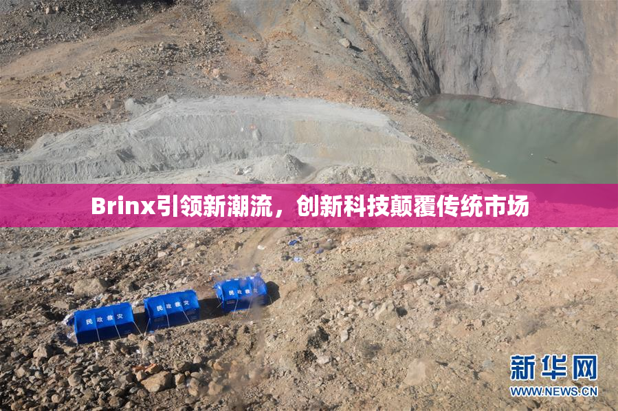 Brinx引领新潮流，创新科技颠覆传统市场