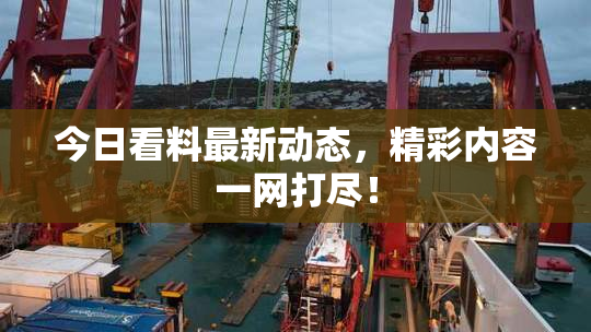 今日看料最新动态，精彩内容一网打尽！
