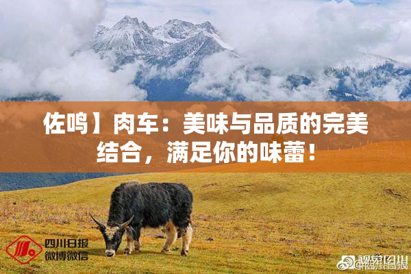 佐鸣】肉车：美味与品质的完美结合，满足你的味蕾！