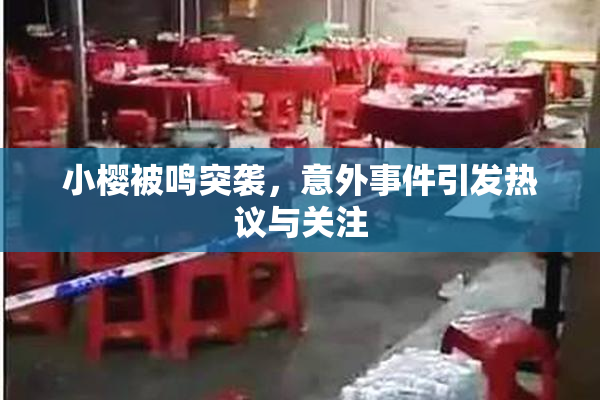 小樱被鸣突袭，意外事件引发热议与关注
