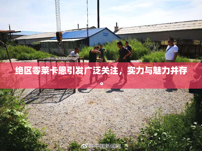 绝区零莱卡恩引发广泛关注，实力与魅力并存。