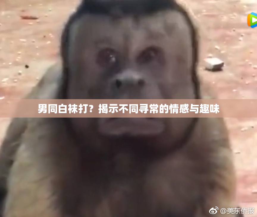 男同白袜打？揭示不同寻常的情感与趣味