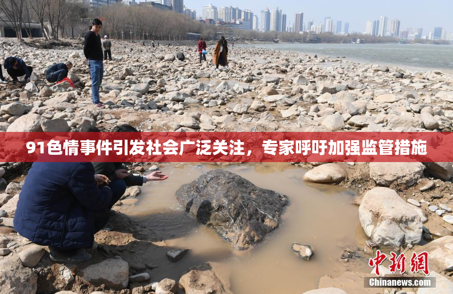 91色情事件引发社会广泛关注，专家呼吁加强监管措施