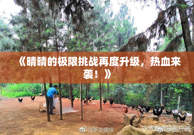 《晴晴的极限挑战再度升级，热血来袭！》