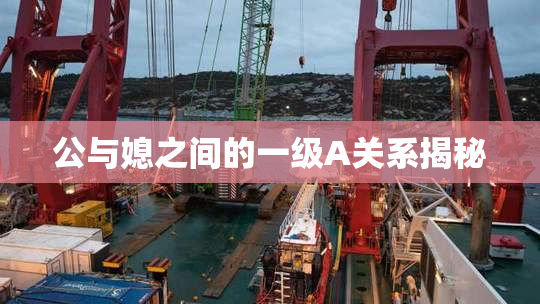 公与媳之间的一级A关系揭秘