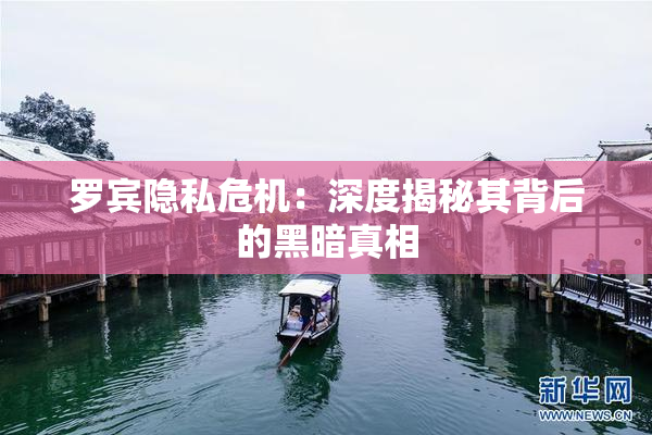 罗宾隐私危机：深度揭秘其背后的黑暗真相