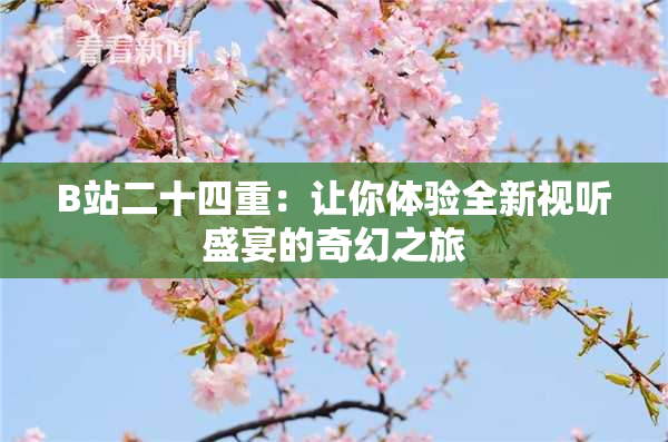 B站二十四重：让你体验全新视听盛宴的奇幻之旅
