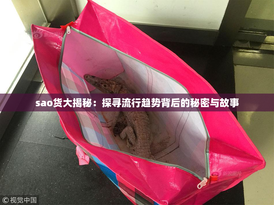 sao货大揭秘：探寻流行趋势背后的秘密与故事