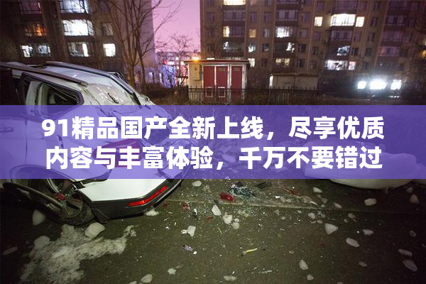 91精品国产全新上线，尽享优质内容与丰富体验，千万不要错过！