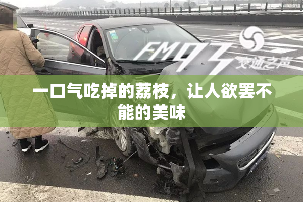 一口气吃掉的荔枝，让人欲罢不能的美味