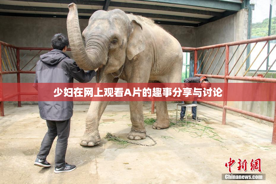 少妇在网上观看A片的趣事分享与讨论