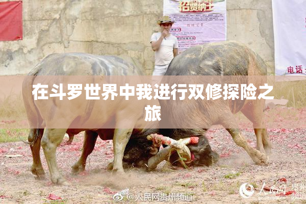 在斗罗世界中我进行双修探险之旅