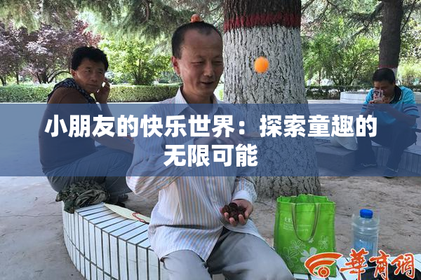 小朋友的快乐世界：探索童趣的无限可能