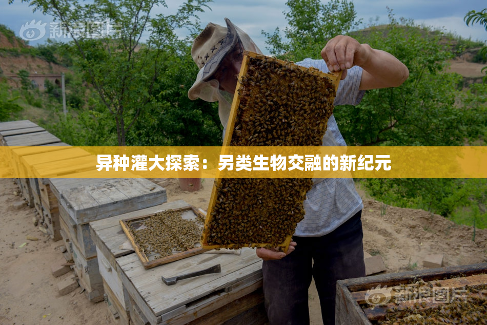 异种灌大探索：另类生物交融的新纪元