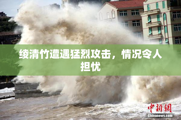 绫清竹遭遇猛烈攻击，情况令人担忧