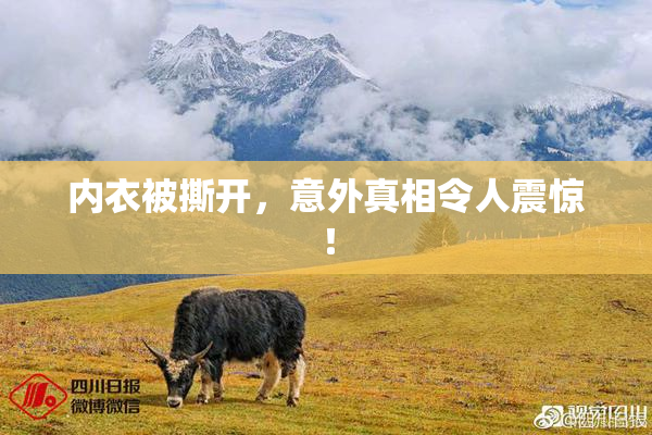 内衣被撕开，意外真相令人震惊！