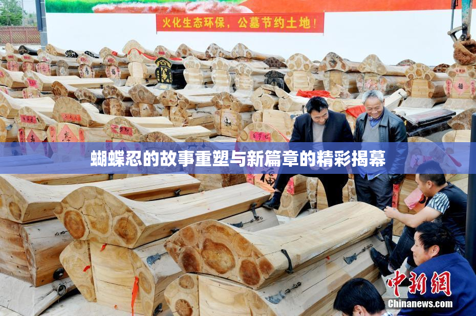 蝴蝶忍的故事重塑与新篇章的精彩揭幕