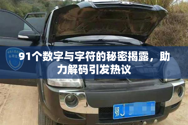 91个数字与字符的秘密揭露，助力解码引发热议
