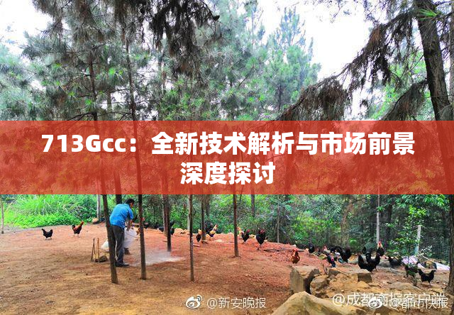 713Gcc：全新技术解析与市场前景深度探讨