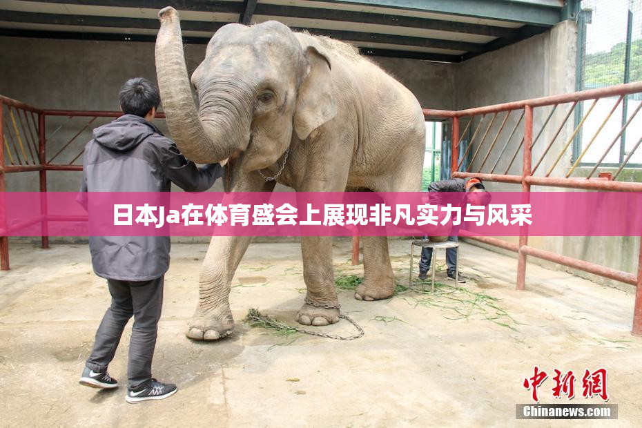 日本Ja在体育盛会上展现非凡实力与风采