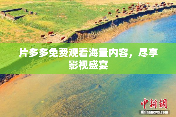 片多多免费观看海量内容，尽享影视盛宴