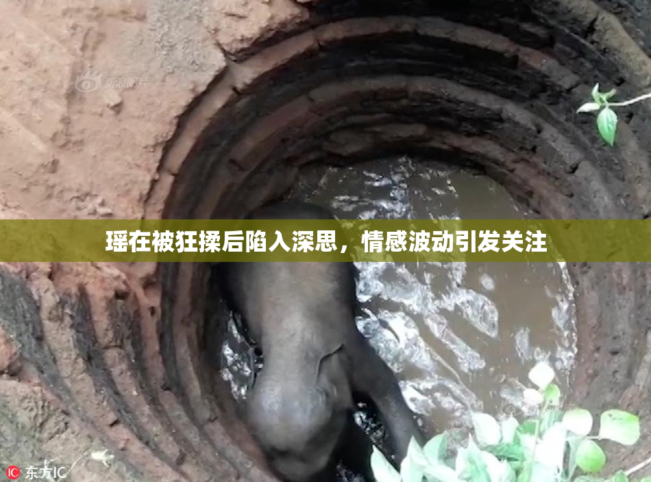 瑶在被狂揉后陷入深思，情感波动引发关注