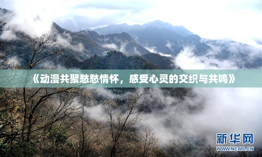 《动漫共聚愁愁情怀，感受心灵的交织与共鸣》