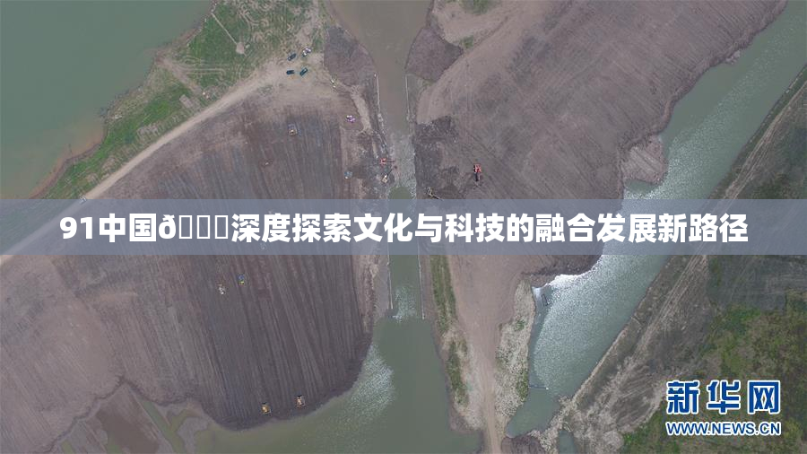 91中国🍆深度探索文化与科技的融合发展新路径