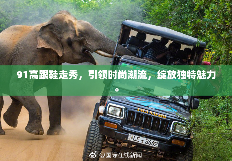 91高跟鞋走秀，引领时尚潮流，绽放独特魅力。