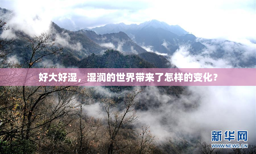 好大好湿，湿润的世界带来了怎样的变化？