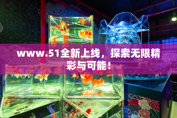 www.51全新上线，探索无限精彩与可能！