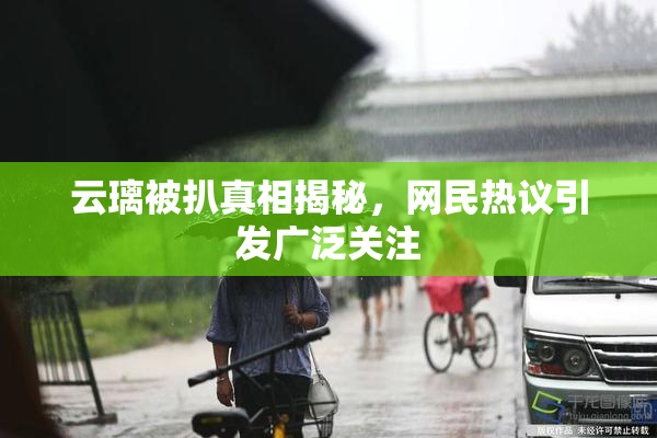 云璃被扒真相揭秘，网民热议引发广泛关注