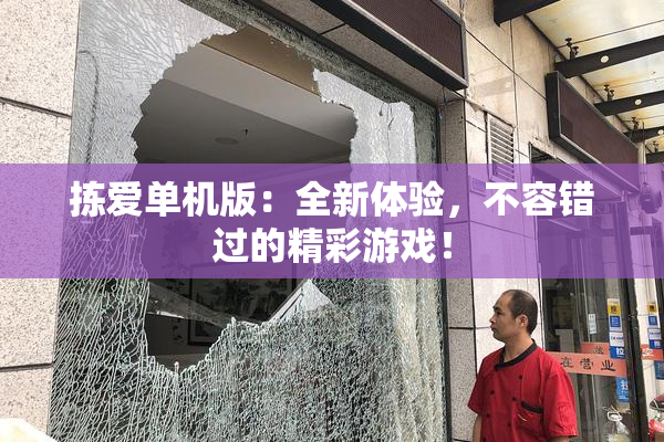 拣爱单机版：全新体验，不容错过的精彩游戏！