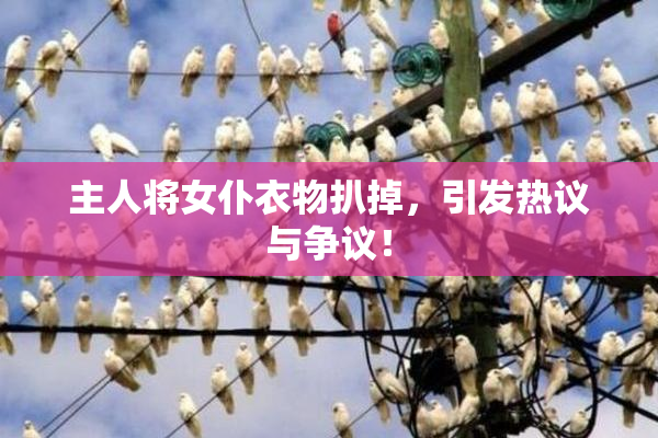 主人将女仆衣物扒掉，引发热议与争议！