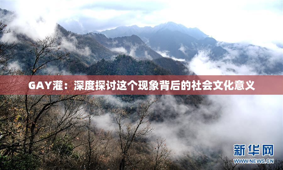 GAY灌：深度探讨这个现象背后的社会文化意义