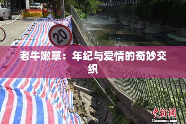 老牛嫩草：年纪与爱情的奇妙交织
