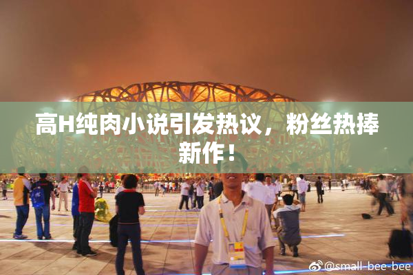高H纯肉小说引发热议，粉丝热捧新作！