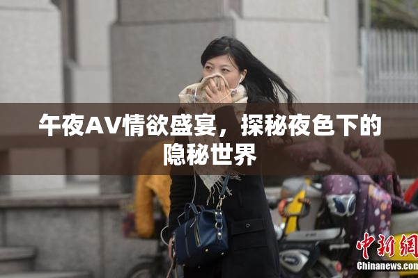 午夜AV情欲盛宴，探秘夜色下的隐秘世界