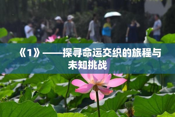 《1》——探寻命运交织的旅程与未知挑战