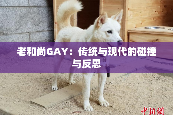 老和尚GAY：传统与现代的碰撞与反思