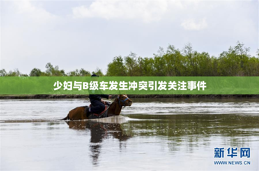 少妇与B级车发生冲突引发关注事件