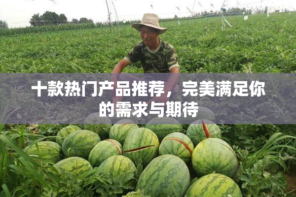 十款热门产品推荐，完美满足你的需求与期待