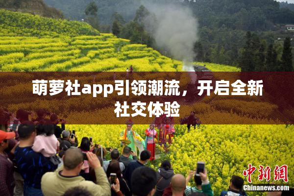 萌萝社app引领潮流，开启全新社交体验
