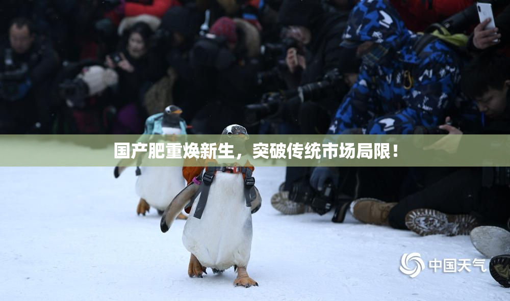 国产肥重焕新生，突破传统市场局限！