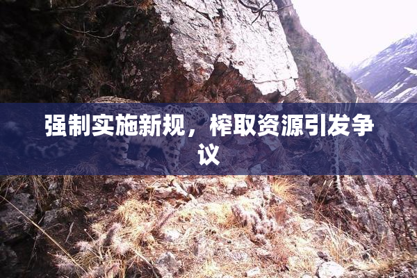 强制实施新规，榨取资源引发争议