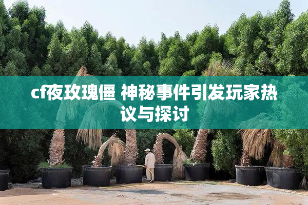 cf夜玫瑰僵 神秘事件引发玩家热议与探讨