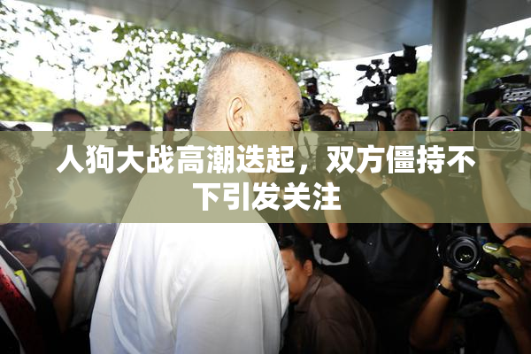 人狗大战高潮迭起，双方僵持不下引发关注