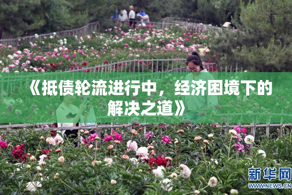 《抵债轮流进行中，经济困境下的解决之道》