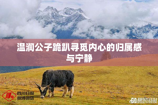 温润公子跪趴寻觅内心的归属感与宁静